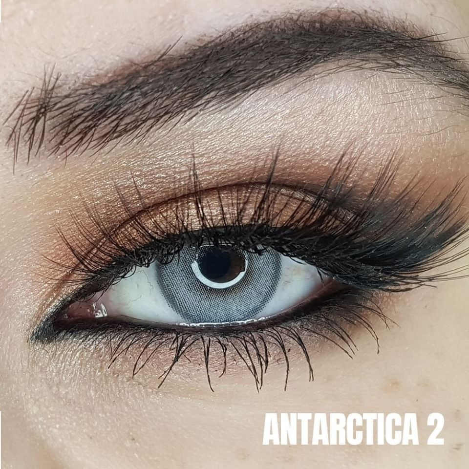 FXEyes Antartica 2 1 Yıllık Lens
