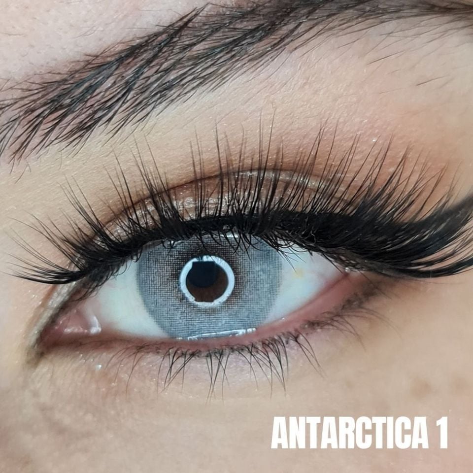FXEyes Antartica 1 1 Yıllık Lens