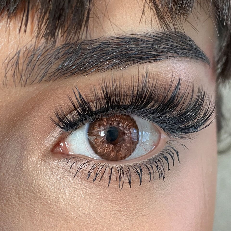 FXEyes Aurora Assos Brown 1 Yıllık Lens