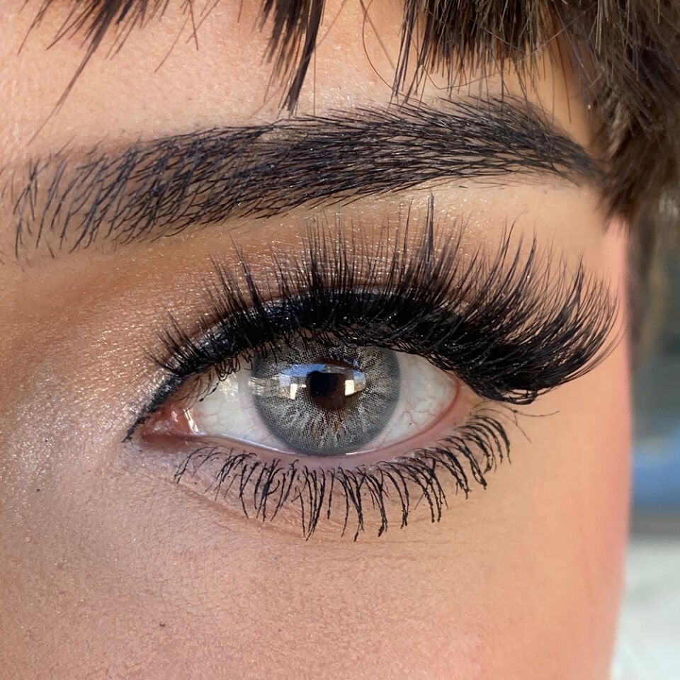 FXEyes Aurora Assos 1 Yıllık Lens