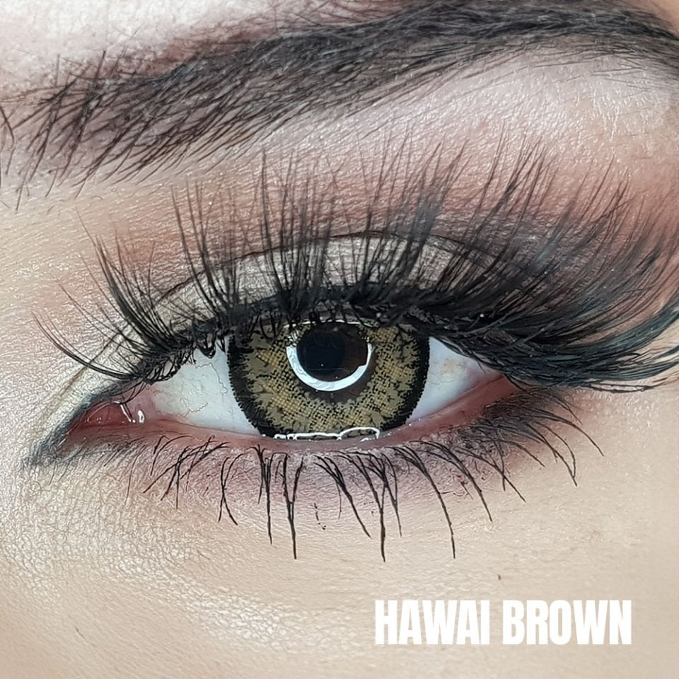 FXEyes Hawai Brown 1 Yıllık Lens