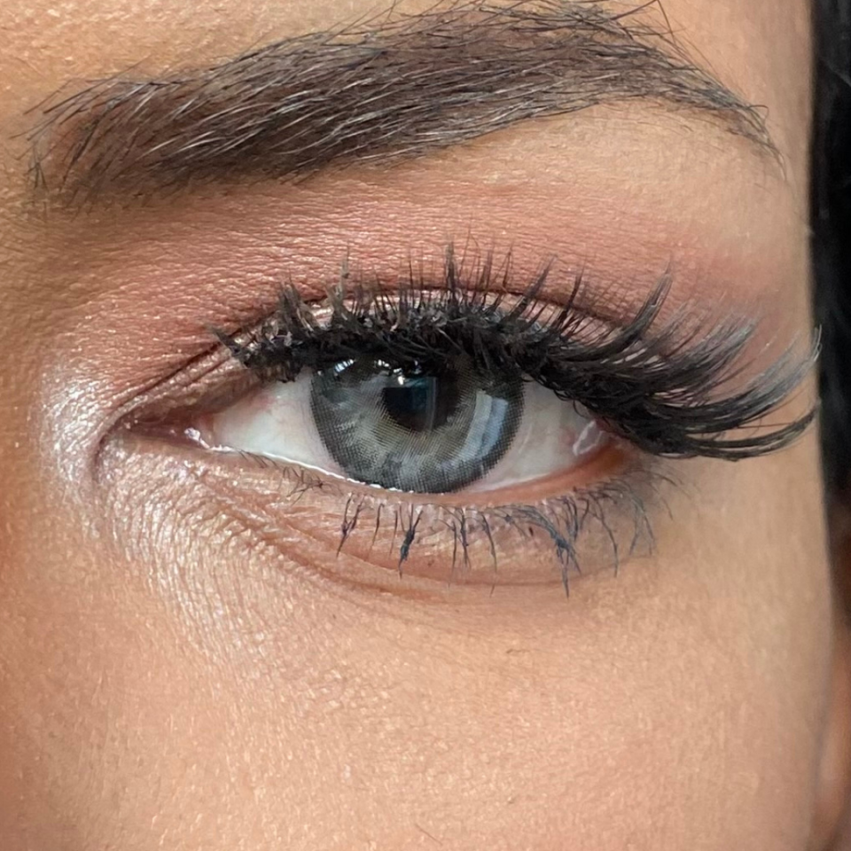 FXEyes Niagara Wolf Koyu Gri 3 Aylık Lens