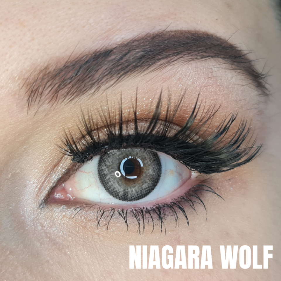 FXEyes Niagara Wolf Koyu Gri 3 Aylık Lens