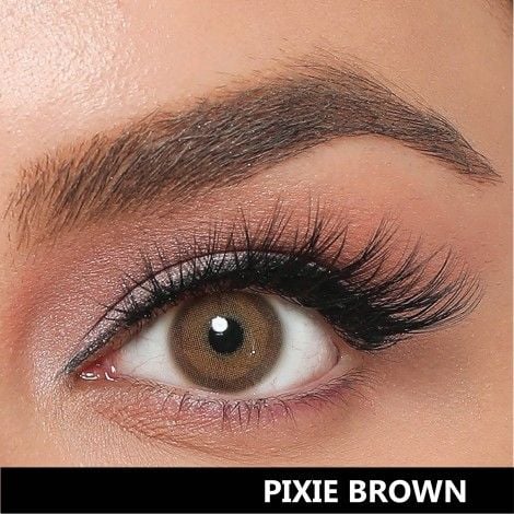 Labella Pixie Yıllık Seri Pixie Brown