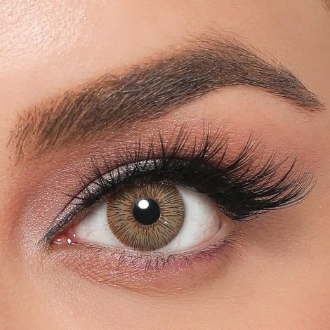 Labella Exclusive Aylık Serisi Chanel Brown